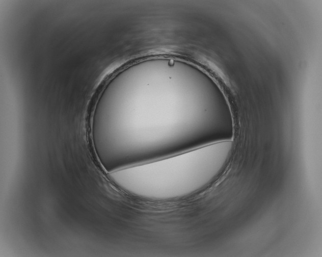 X0000111451308200907131033