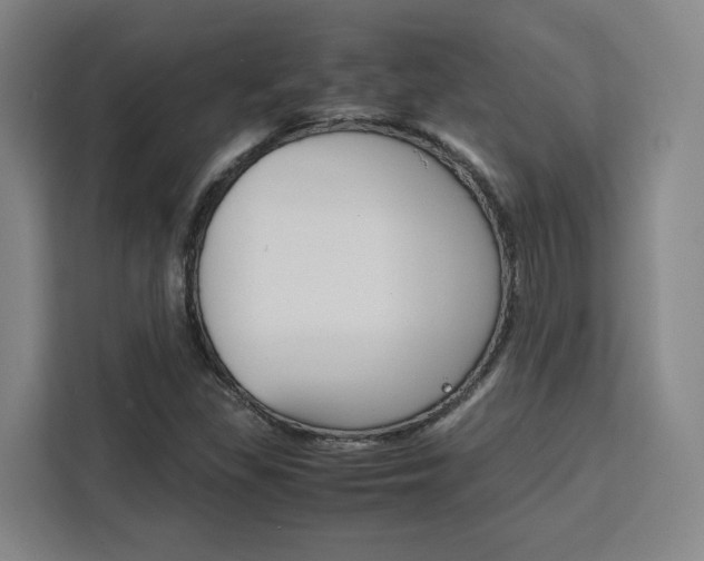 X0000111451309200907131033