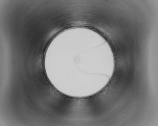 X0000111451314200907131033
