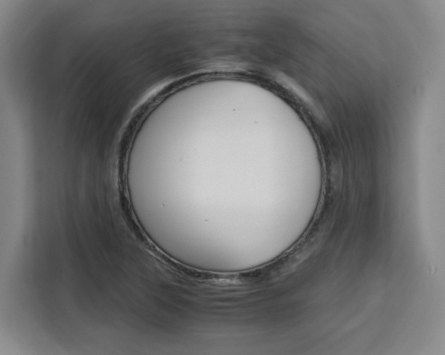 X0000111451315200907131033
