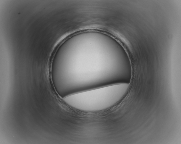 X0000111451316200907131033