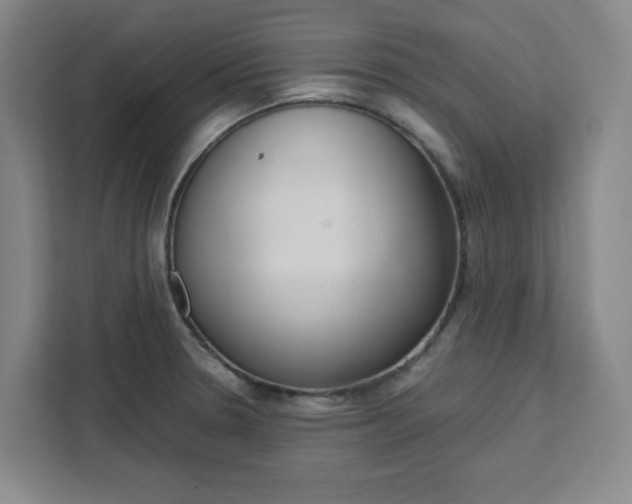 X0000111451330200907131033