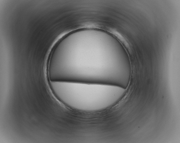 X0000111451331200907131033