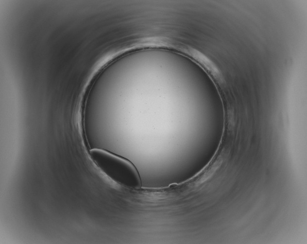 X0000111451334200907131033