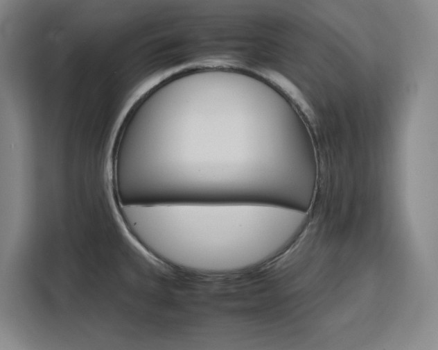 X0000111451335200907131033