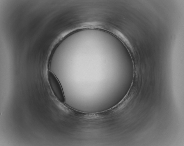 X0000111451336200907131033
