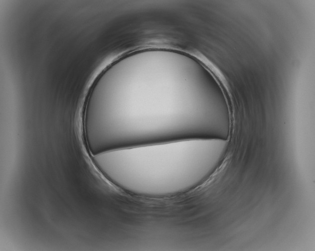 X0000111451341200907131033