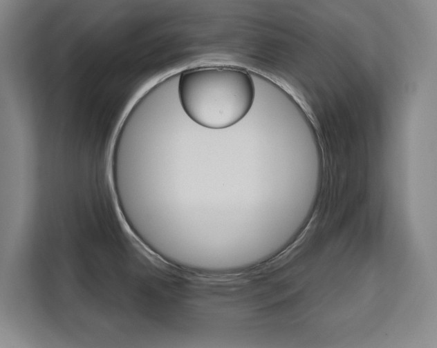 X0000111451342200907131033