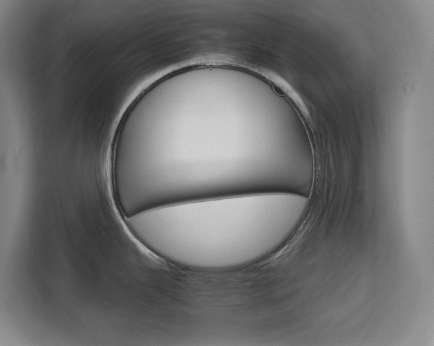 X0000111451343200907131033