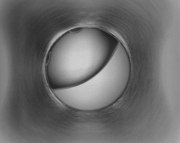 X0000111451344200907131033