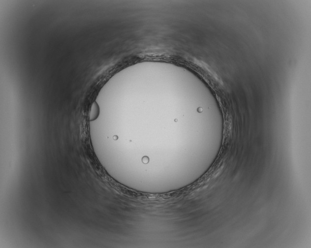 X0000111451350200907131033
