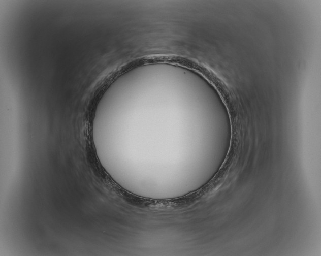X0000111451351200907131033