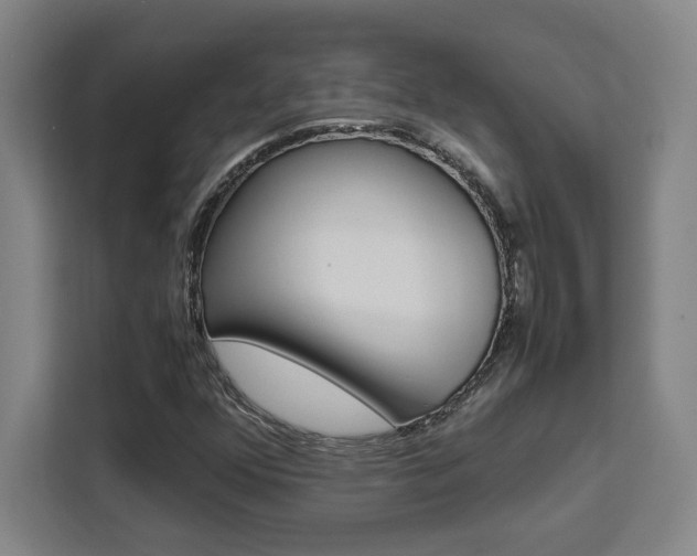 X0000111451352200907131032