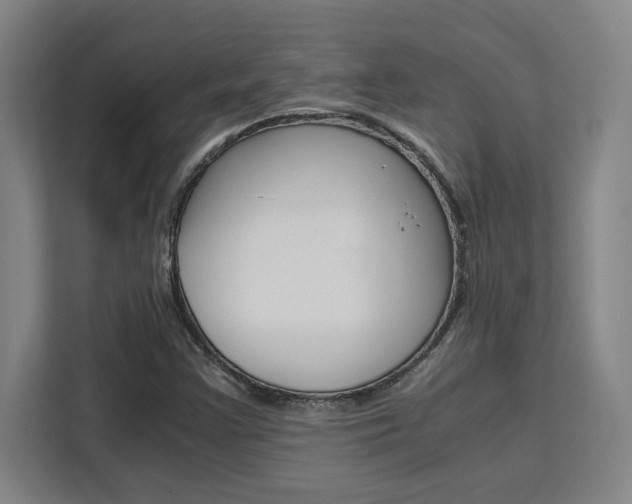 X0000111451355200907131032