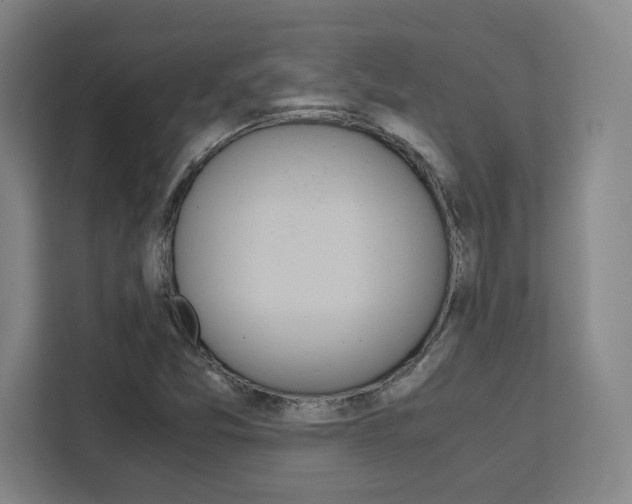 X0000111451357200907131032