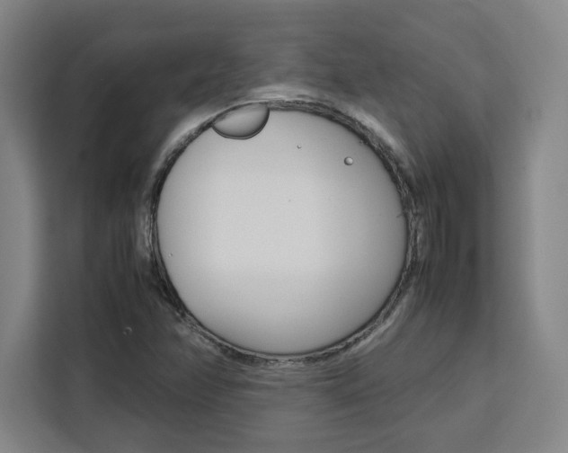X0000111451358200907131032