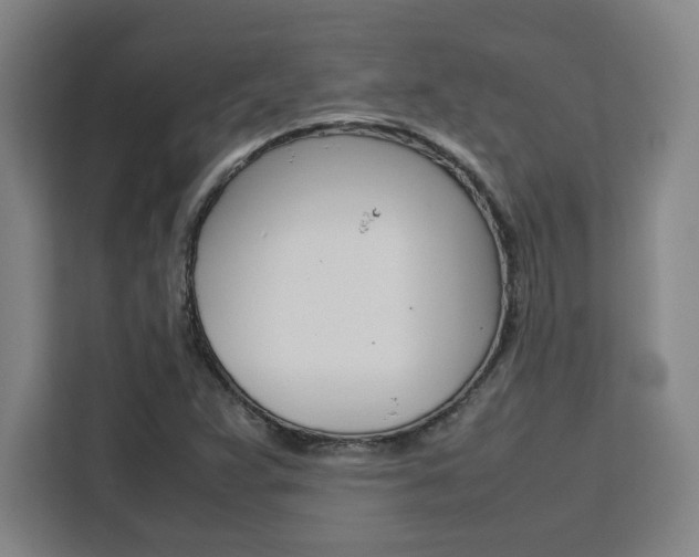 X0000111451359200907131032