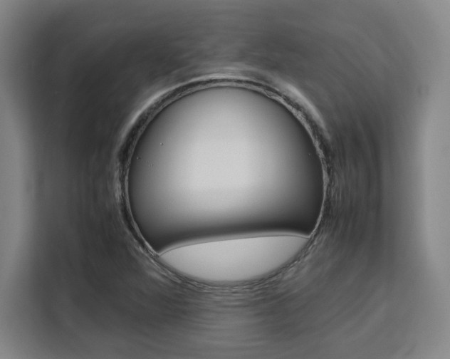 X0000111451360200907131032