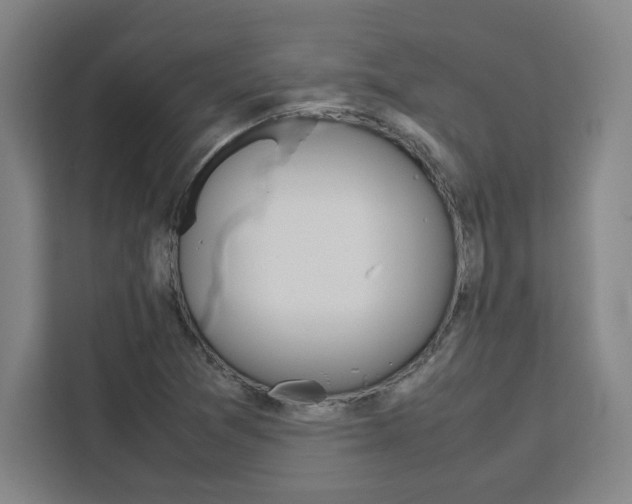 X0000111451361200907131032