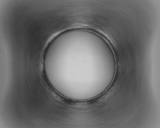 X0000111451363200907131032