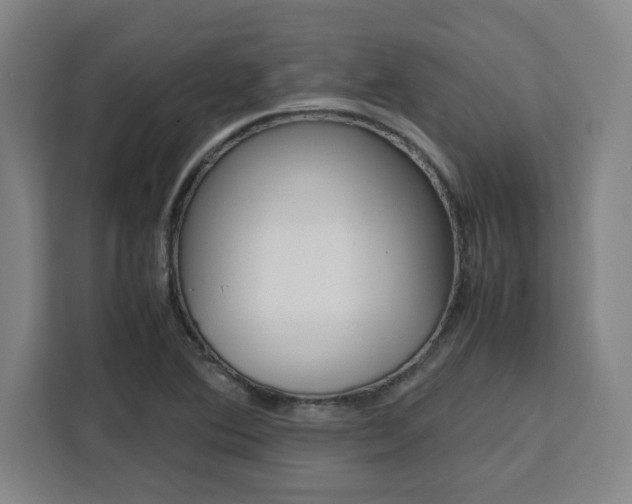 X0000111451364200907131032
