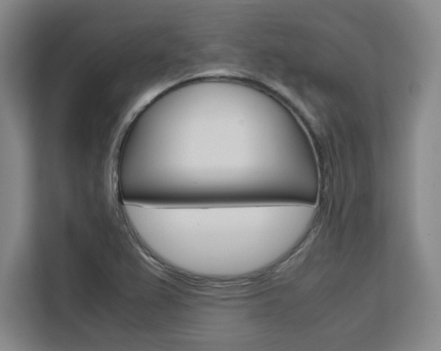 X0000111451367200907131032