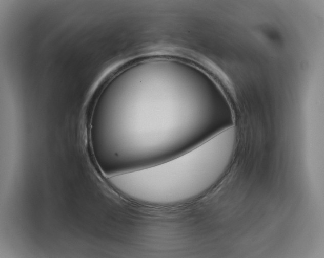 X0000111451368200907131032