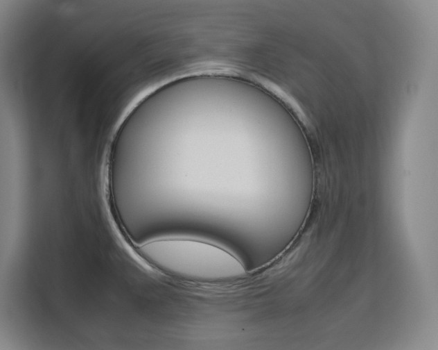 X0000111451383200907131032