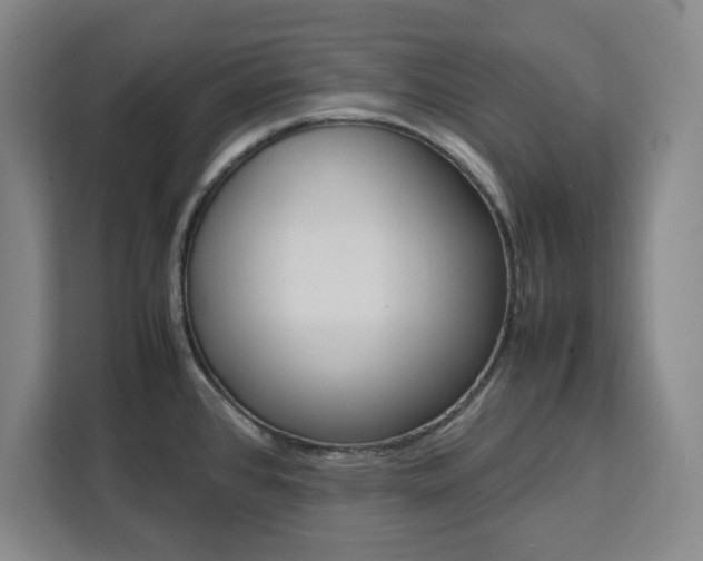 X0000111451384200907131032