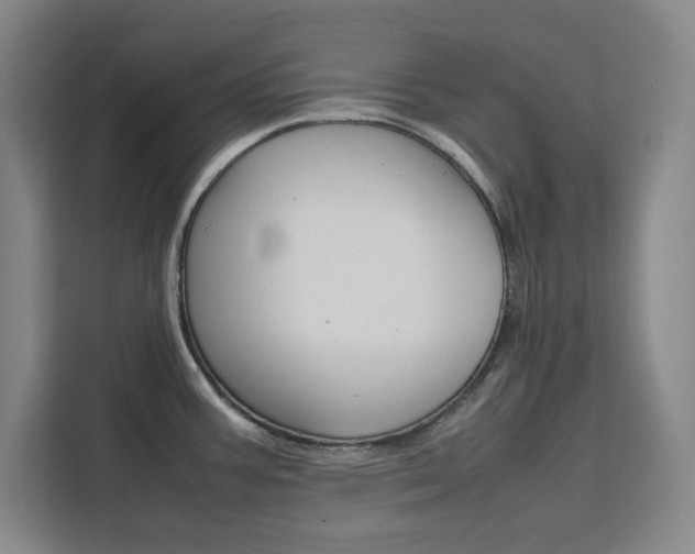 X0000111451387200907131032
