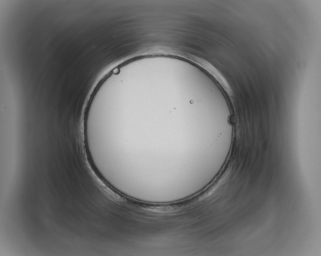 X0000111451388200907131032