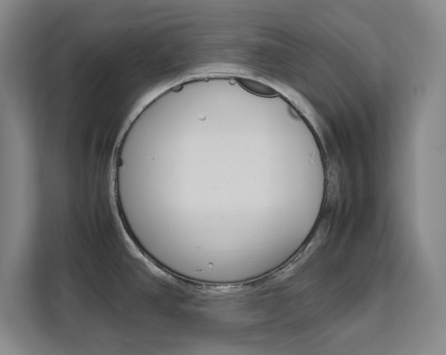 X0000111451390200907131032