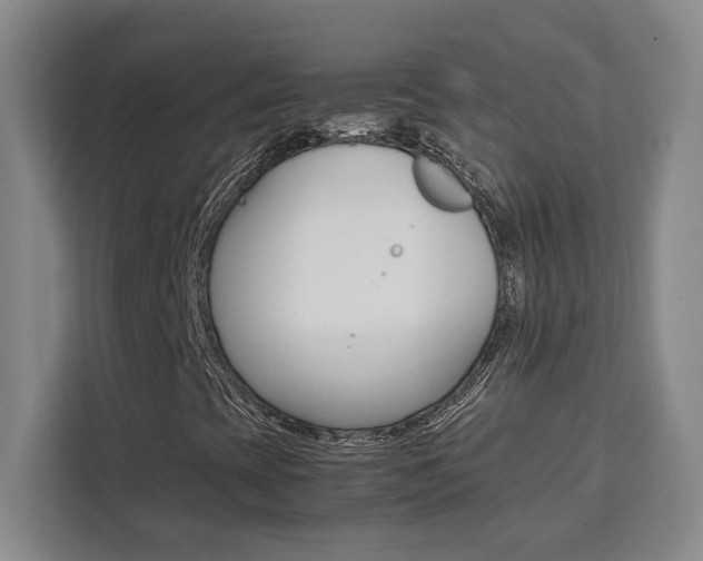 X0000111451393200907131031