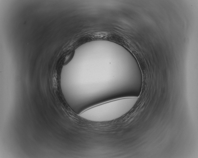X0000111451394200907131031