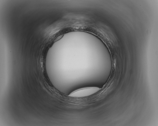 X0000111451396200907131031