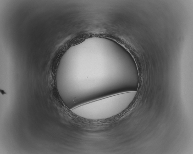 X0000111451398200907131031