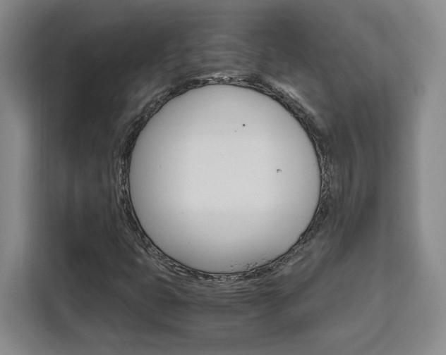 X0000111451399200907131031