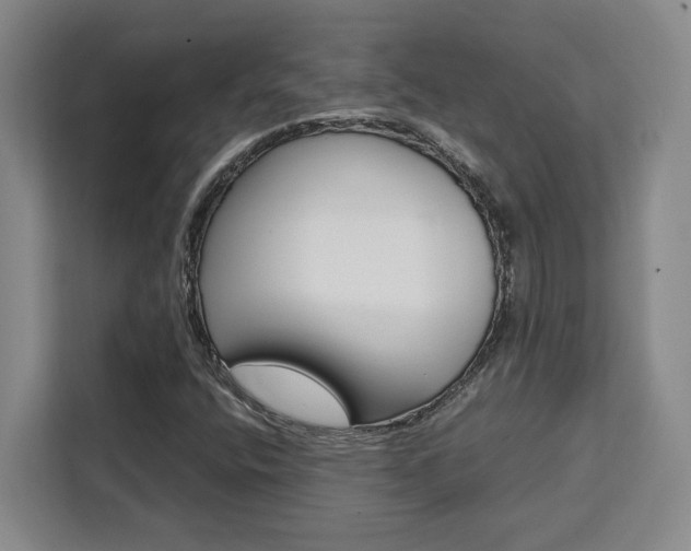 X0000111451400200907131031
