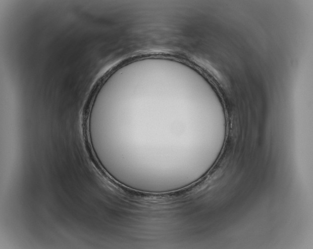 X0000111451404200907131031