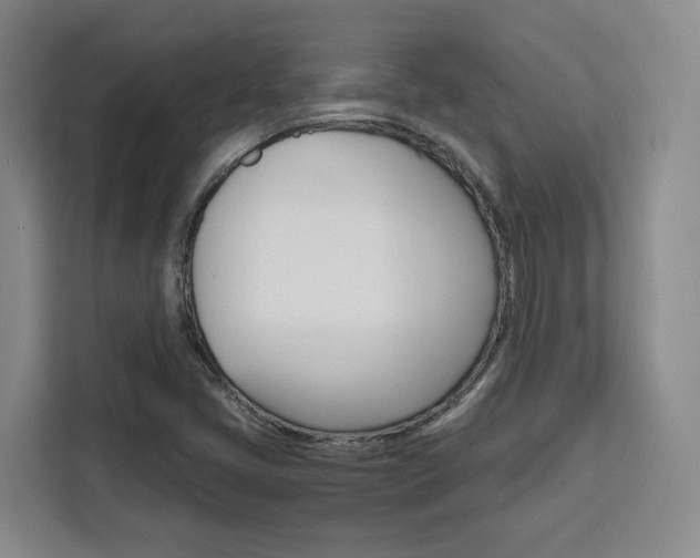 X0000111451405200907131032