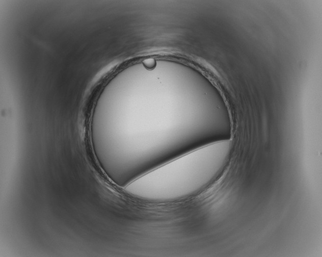 X0000111451406200907131032