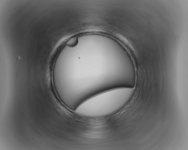 X0000111451408200907131032