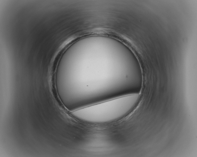X0000111451410200907131032
