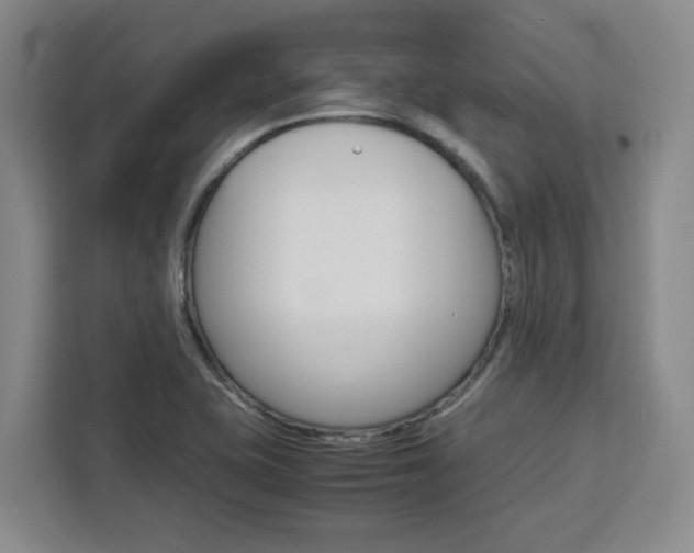 X0000111451415200907131032