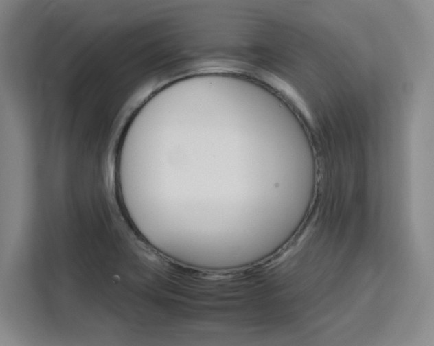 X0000111451419200907131032