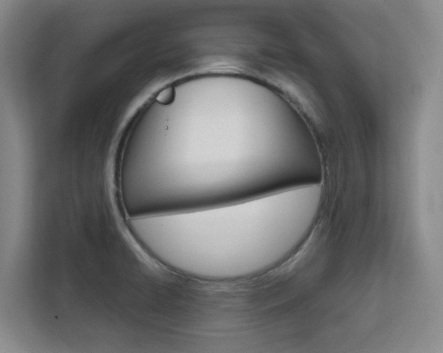 X0000111451422200907131032