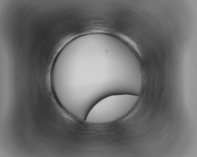 X0000111451423200907131032