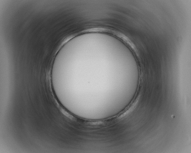 X0000111451425200907131032