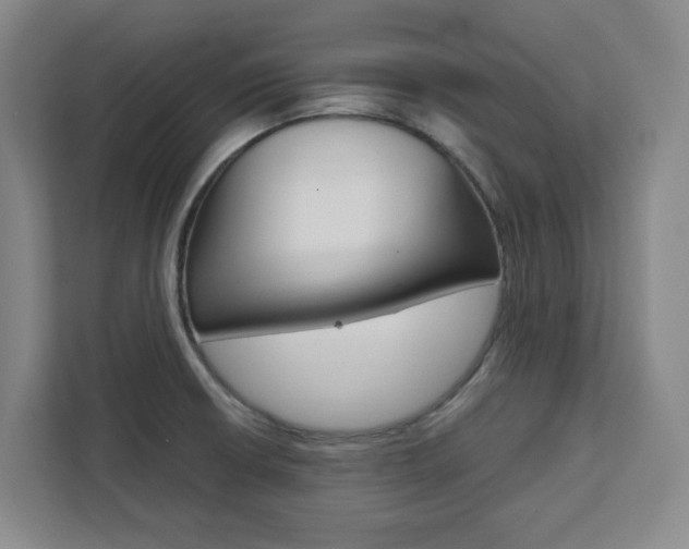 X0000111451426200907131032