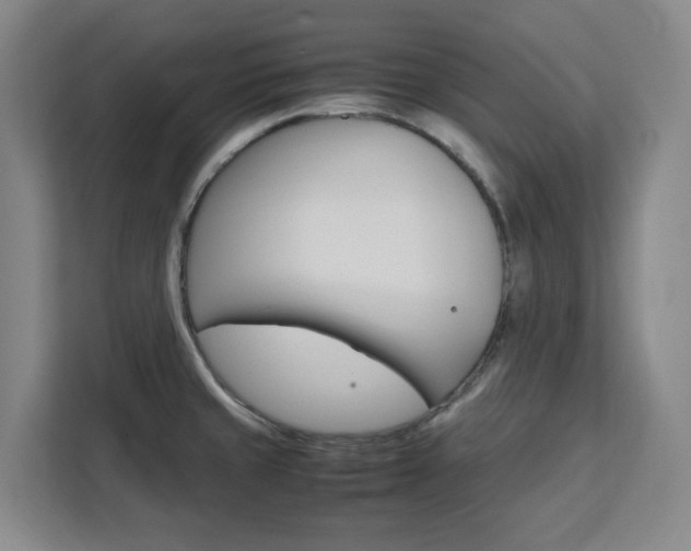 X0000111451429200907131032